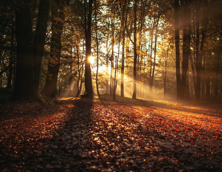 Autunno